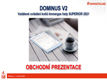 prezentace-obchodni-dominus-nahled-web