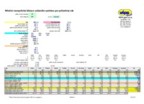 vips-flat-program-nahled